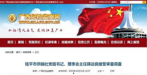 广西都市爆料最新消息新闻